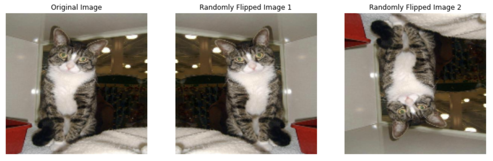 flipped-cats.png