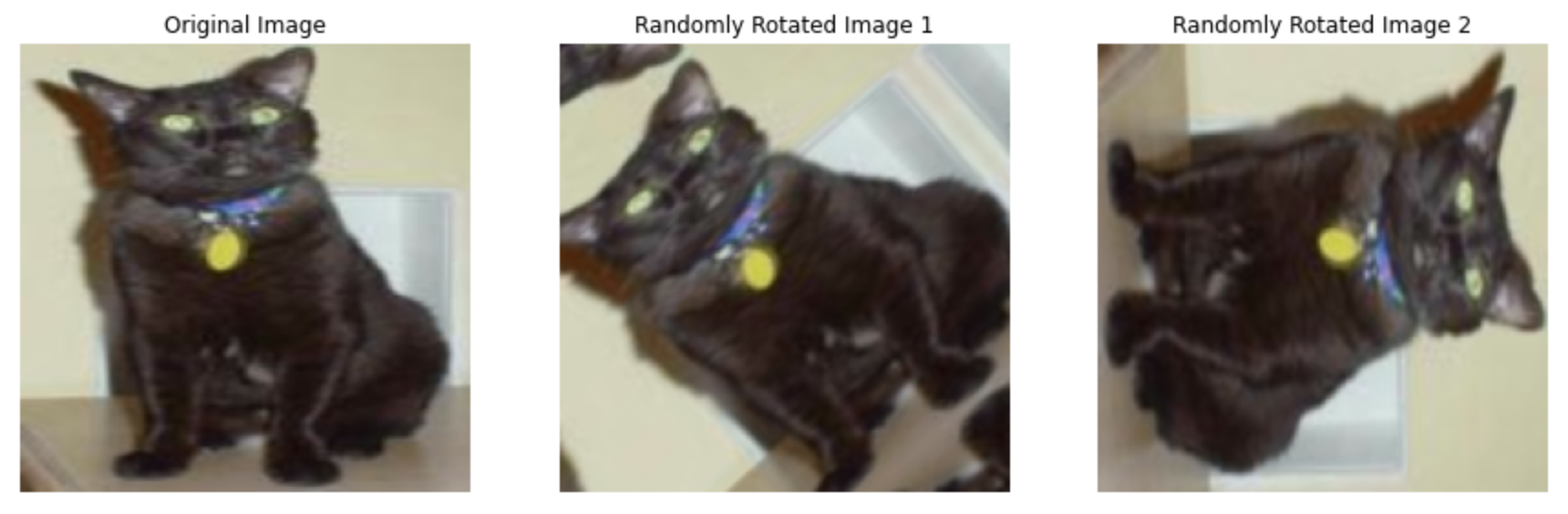 rotated-cats.png